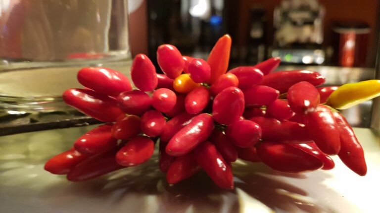 Home 20231102 170805